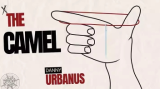 The Camel by Danny Urbanus The Camel by Danny Urbanus