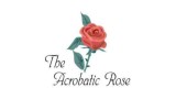 Acrobatic Rose by Ivo Farinaccia Acrobatic Rose by Ivo Farinaccia