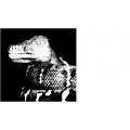 Ben-Zine Vol 3 by Ben Cardall Ben-Zine Vol 3 by Ben Cardall