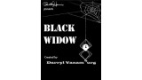 Black Widow by Darryl Vanamburg Black Widow by Darryl Vanamburg