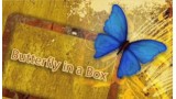 Butterfly In A Box by Mark Presley Butterfly In A Box by Mark Presley