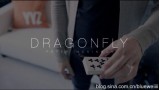 Dragon Fly by Peter Mckinnon Dragon Fly by Peter Mckinnon