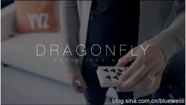 Dragon Fly by Peter Mckinnon Dragon Fly by Peter Mckinnon