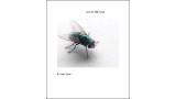 Fly On The Wall by Cedric Taylor Fly On The Wall by Cedric Taylor
