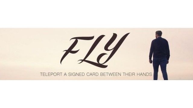 Fly by Geraint Clarke Fly by Geraint Clarke