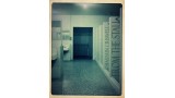 From The Stall by Chastain Criswell From The Stall by Chastain Criswell