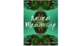 Natural Mediumship by Jerome Finley Natural Mediumship by Jerome Finley
