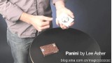 Panini by Lee Asher Panini by Lee Asher