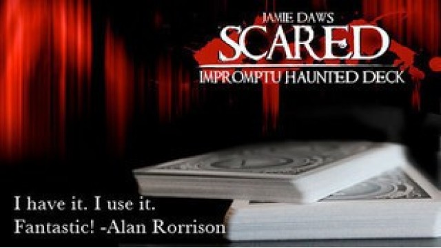 Scared by Jamie Daws And Dave Forrest Scared by Jamie Daws And Dave Forrest