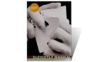 Sleightly Magical by Dan And Dave Sleightly Magical by Dan And Dave