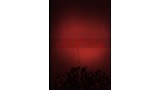 The Switch by Shin Lim The Switch by Shin Lim