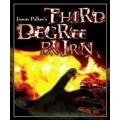 Third Degree Burn by Jason Palter