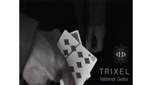 Trixel by Valdemar Gestur Trixel by Valdemar Gestur