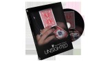 Unsighted by Finix Chan And Skymember Unsighted by Finix Chan And Skymember