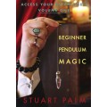 Access Your Psychic Self - Volume One - Beginner P by Stuart Palm