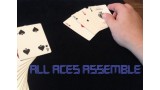 All Aces Assemble by Steve Reynolds All Aces Assemble by Steve Reynolds