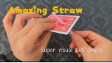 Amazing Straw by Dingding Amazing Straw by Dingding