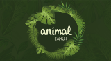 Animal Tarot by The Other Brothers Animal Tarot by The Other Brothers