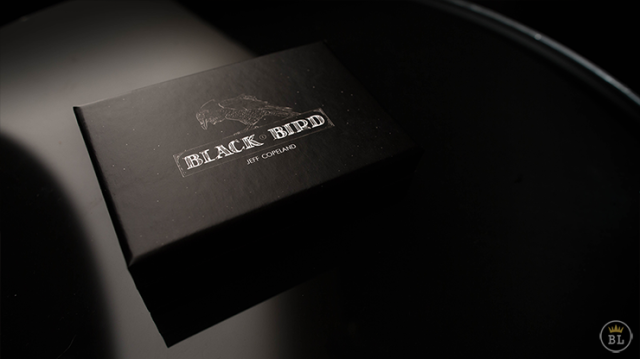 Blackbird by Jeff Copeland Blackbird by Jeff Copeland