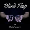 Blind Flap by Ph & Mario Tarasini Blind Flap by Ph & Mario Tarasini