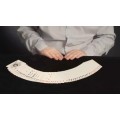 Blind Table Shuffle by Grant Carden