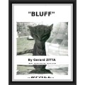 Bluff by Gerard Zitta