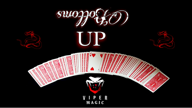 Bottoms Up by Viper Magic Bottoms Up by Viper Magic