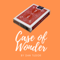 Case Of Wonder by Dan Tudor Case Of Wonder by Dan Tudor