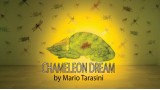 Chameleon Dream by Mario Tarasini Chameleon Dream by Mario Tarasini
