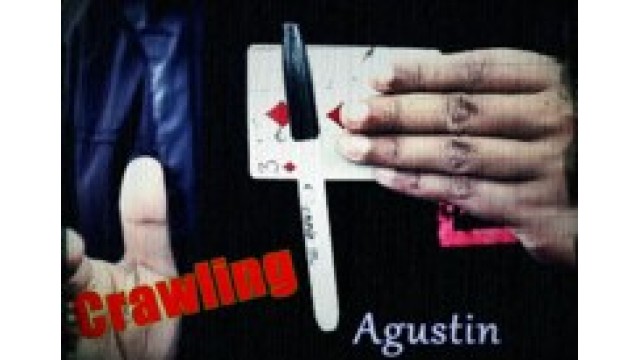 Crawling by Agustin Crawling by Agustin