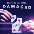 Damaged by David Stone Damaged by David Stone