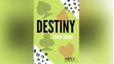 Destiny by Vinny Sagoo Destiny by Vinny Sagoo