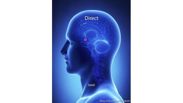 Direct by Bill Dekel Direct by Bill Dekel