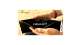 E-Wallet by Promystic E-Wallet by Promystic