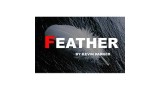 Feather by Kevin Parker Feather by Kevin Parker