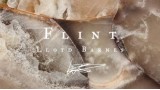 Flint by Lloyd Barnes Flint by Lloyd Barnes