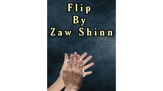 Flip by Zaw Shinn Flip by Zaw Shinn