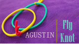 Fly Knot by Agustin Fly Knot by Agustin