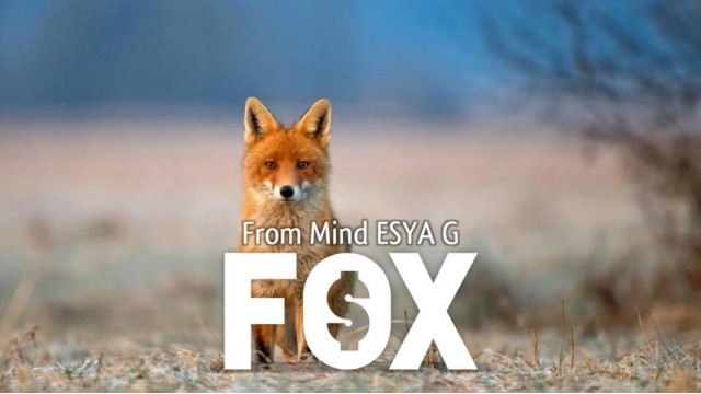 Fox by Esya G Fox by Esya G