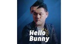 Hello Bunny by Zee Hello Bunny by Zee