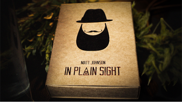 In Plain Sight by Matt Johnson In Plain Sight by Matt Johnson
