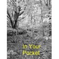 In Your Pocket by Ken Muller