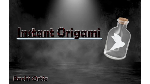 Instant Origami by Bachi Ortiz Instant Origami by Bachi Ortiz