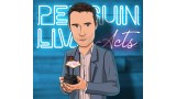 Jack Penguin Live Act Jack Penguin Live Act