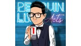 Jeki Yoo Penguin Live Act Jeki Yoo Penguin Live Act