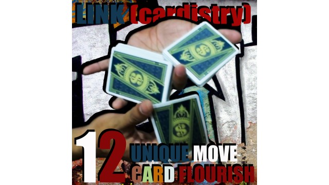 Link (Cardistry Project) by Saysevent Link (Cardistry Project) by Saysevent