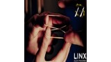 Linx by Alex Pandrea Linx by Alex Pandrea