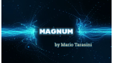 Magnum by Mario Tarasini Magnum by Mario Tarasini