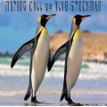 Mating Call by Alvo Stockman