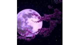 Moon Control by Daniel Hoang Moon Control by Daniel Hoang